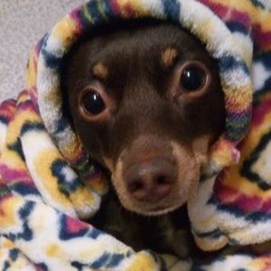 LUCI SAYS " BUNDLE UP AND SAVE"  !